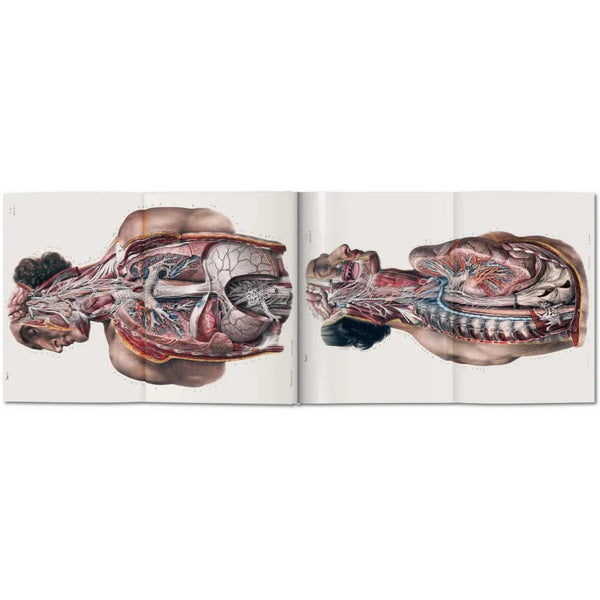 Load image into Gallery viewer, Bourgery. Atlas of Human Anatomy and Surgery - Taschen Books
