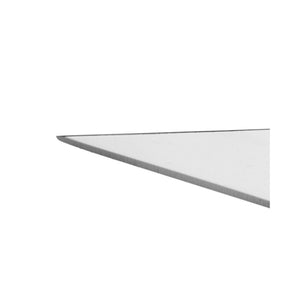 Alessi Antechinus Cheese Knife