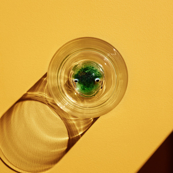 Load image into Gallery viewer, Kosta Boda New Friends Tumbler Frog
