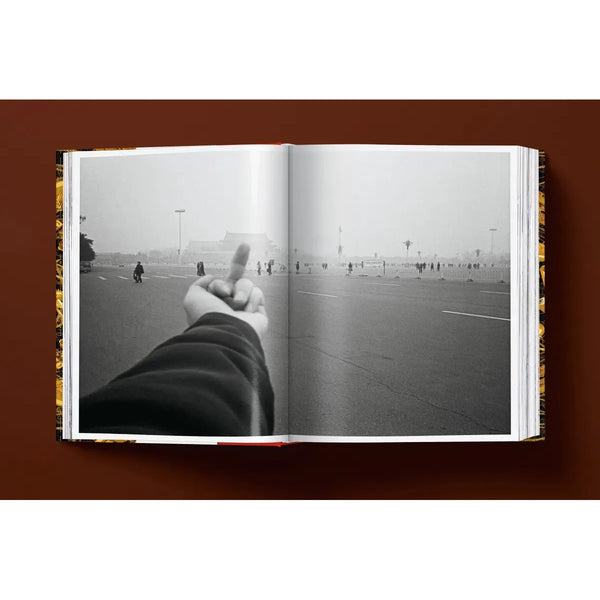 Load image into Gallery viewer, Ai Weiwei. Updated Edition - Taschen Books
