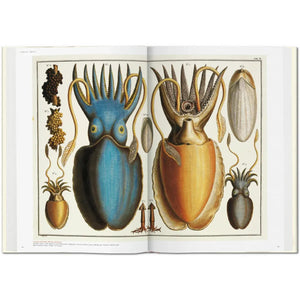 Seba. Cabinet of Natural Curiosities - Taschen Books