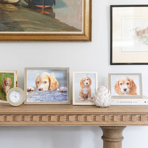 Addison Ross White Enamel & Gold Frame - 5 x 7 in