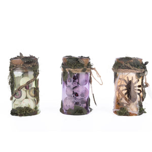 Katherine's Collection Broomstick Acres Potion Jars, Assortment of 3