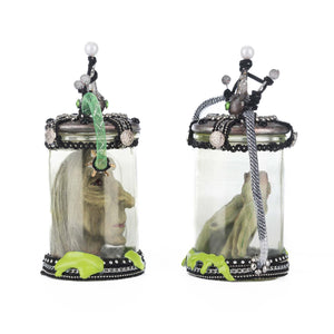 Katherine's Collection Chaotic Specimen Jars Assortment of 2