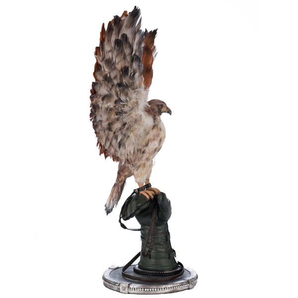 Load image into Gallery viewer, Katherine&#39;s Collection Argon Hawking on Perch
