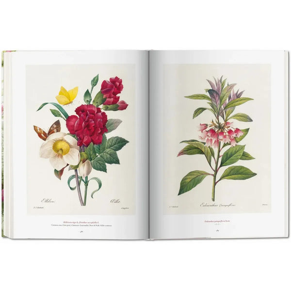Load image into Gallery viewer, Redouté. The Book of Flowers - Taschen Books
