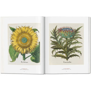 A Garden Eden. Masterpieces of Botanical Illustration - Taschen Books