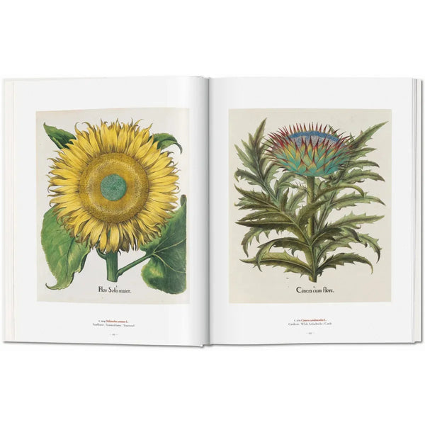 Load image into Gallery viewer, A Garden Eden. Masterpieces of Botanical Illustration - Taschen Books
