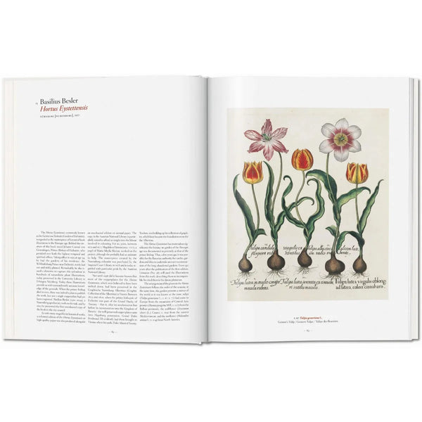 Load image into Gallery viewer, A Garden Eden. Masterpieces of Botanical Illustration - Taschen Books
