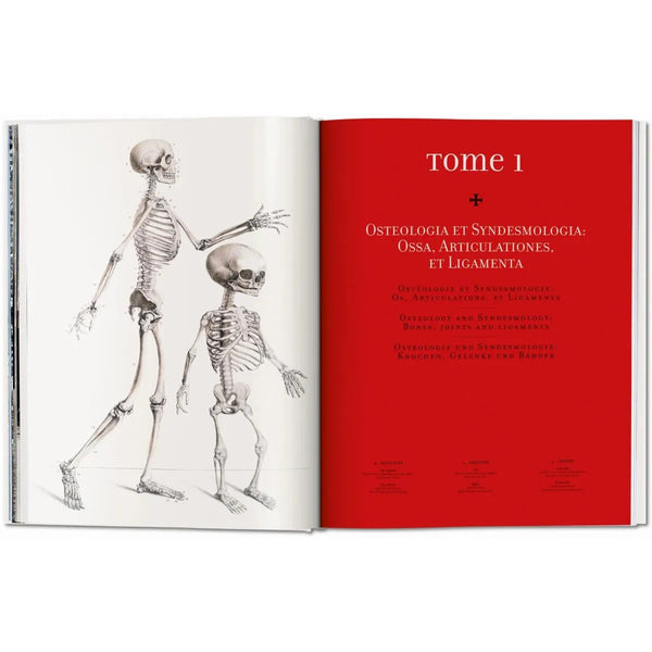 Load image into Gallery viewer, Bourgery. Atlas of Human Anatomy and Surgery - Taschen Books
