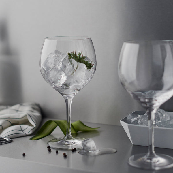 Load image into Gallery viewer, Orrefors Gin and Tonic - Set of 4

