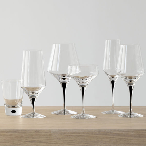 Load image into Gallery viewer, Orrefors Metropol Tumbler - Set of 2
