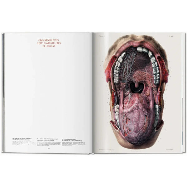 Load image into Gallery viewer, Bourgery. Atlas of Human Anatomy and Surgery - Taschen Books
