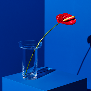 Kosta Boda Limelight Vase Clear Tall