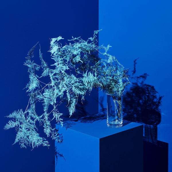 Load image into Gallery viewer, Kosta Boda Limelight Vase Clear Tall
