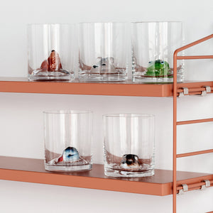 Kosta Boda New Friends Tumbler Fox