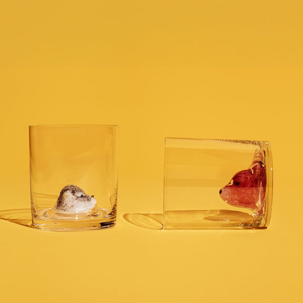 Load image into Gallery viewer, Kosta Boda New Friends Tumbler Fox
