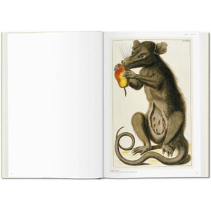 Seba. Cabinet of Natural Curiosities - Taschen Books