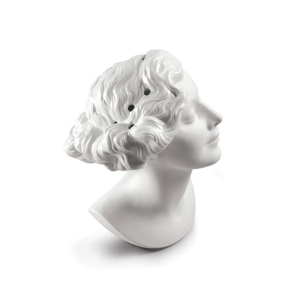 Load image into Gallery viewer, Lladro Daisy Woman Bust Vase
