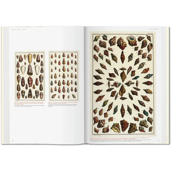 Load image into Gallery viewer, Seba. Cabinet of Natural Curiosities - Taschen Books
