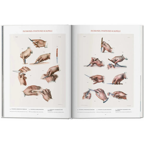 Load image into Gallery viewer, Bourgery. Atlas of Human Anatomy and Surgery - Taschen Books
