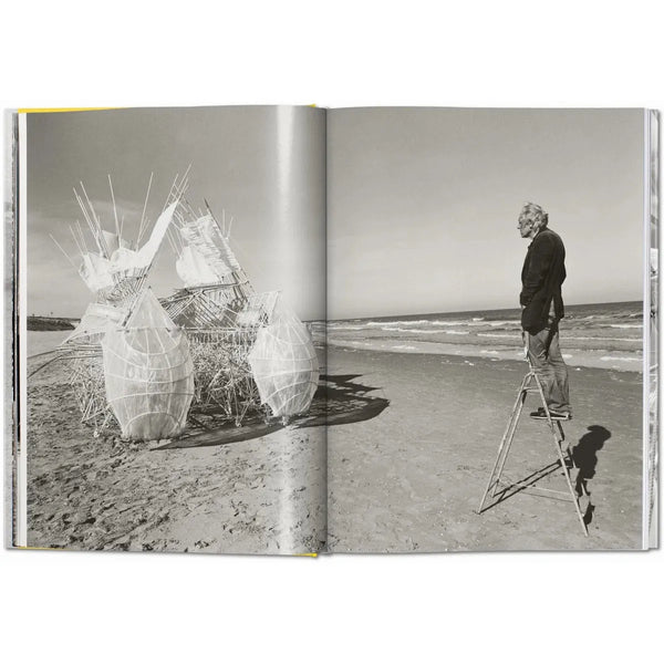 Load image into Gallery viewer, Strandbeest. The Dream Machines of Theo Jansen - Taschen Books
