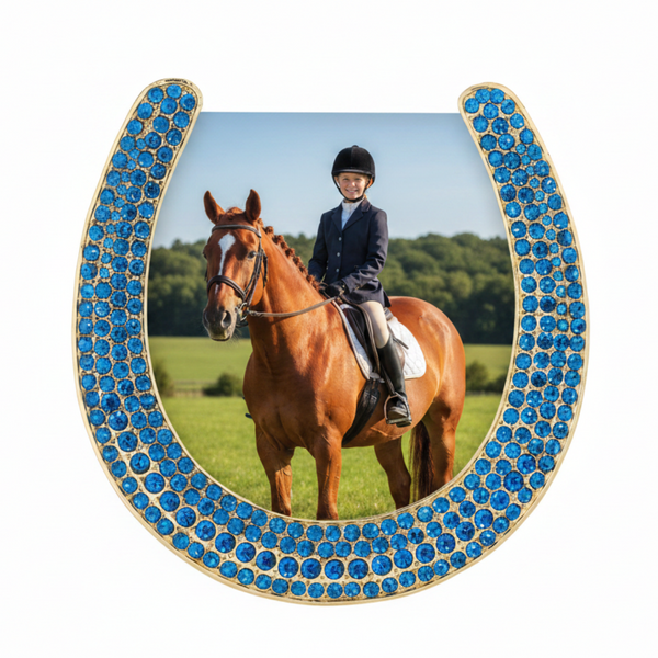 Load image into Gallery viewer, Olivia Riegel Horseshoe Frame with Capri Blue Stones, Gold
