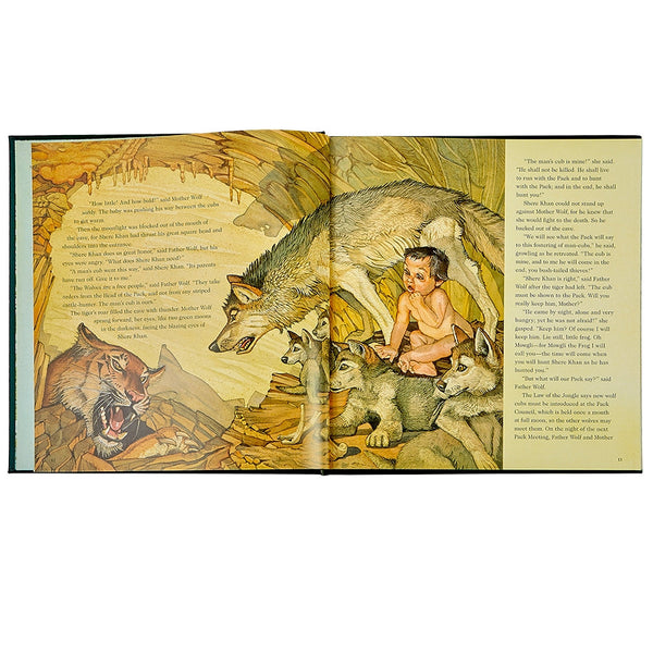 Load image into Gallery viewer, Graphic Image The Jungle Book - Leather Book
