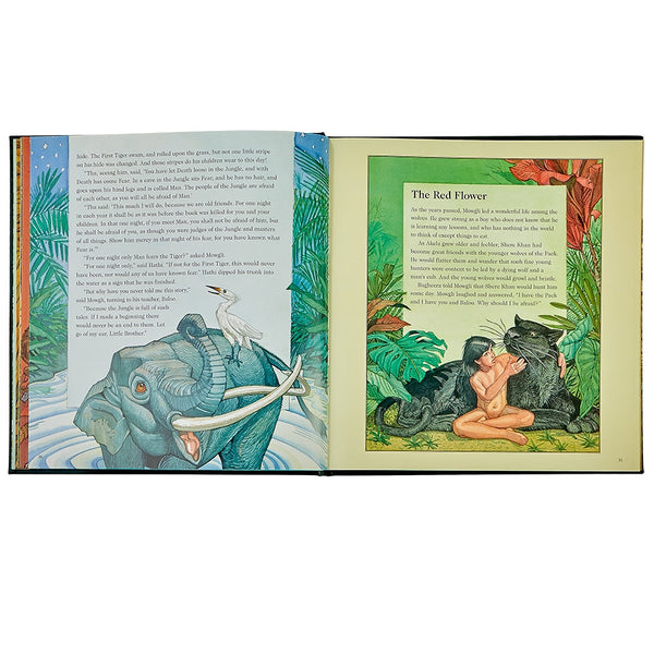 Load image into Gallery viewer, Graphic Image The Jungle Book - Leather Book
