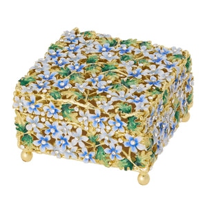 Olivia Riegel Daphne Box