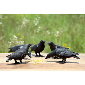 Park Hill Collection Cast Iron Crows, Set of 2