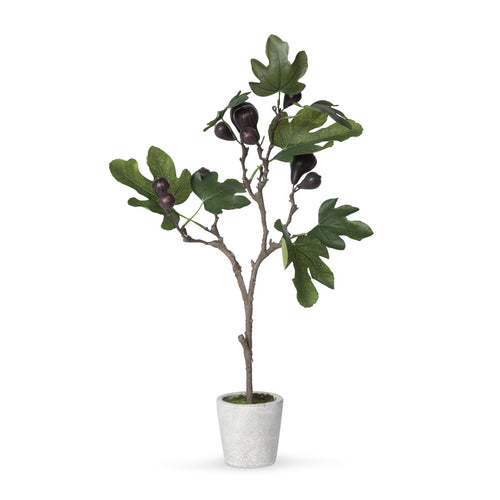 Park Hill Collection Mission Fig Topiary