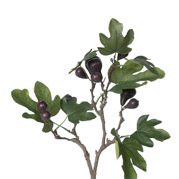 Load image into Gallery viewer, Park Hill Collection Mission Fig Topiary
