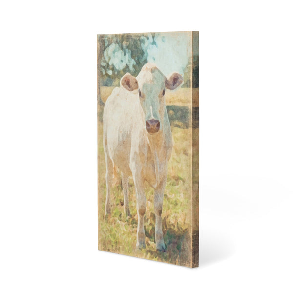 Load image into Gallery viewer, Park Hill Collection Charolais Cow Canvas Print
