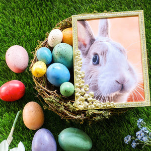 Olivia Riegel Gold Evelyn 5" x 7" Frame