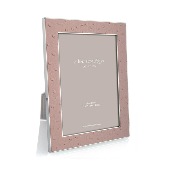Load image into Gallery viewer, Addison Ross Blush Ostrich &amp; Silver Frame - 4 x 6 in
