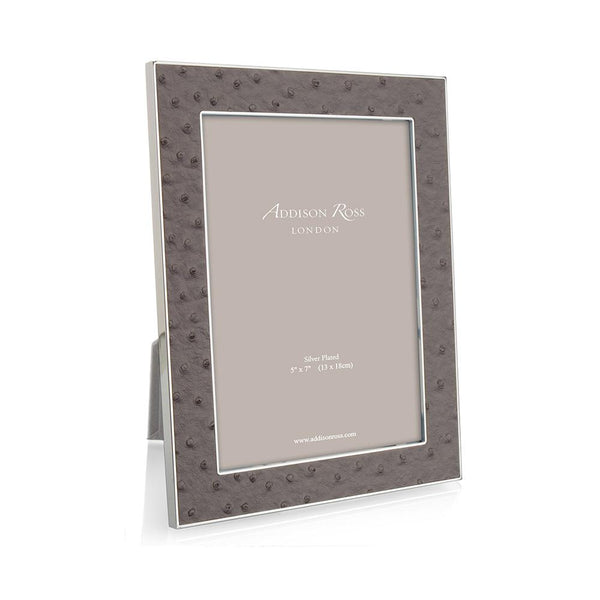 Load image into Gallery viewer, Addison Ross Urban Ostrich &amp; Silver Frame - 4 x 6 in
