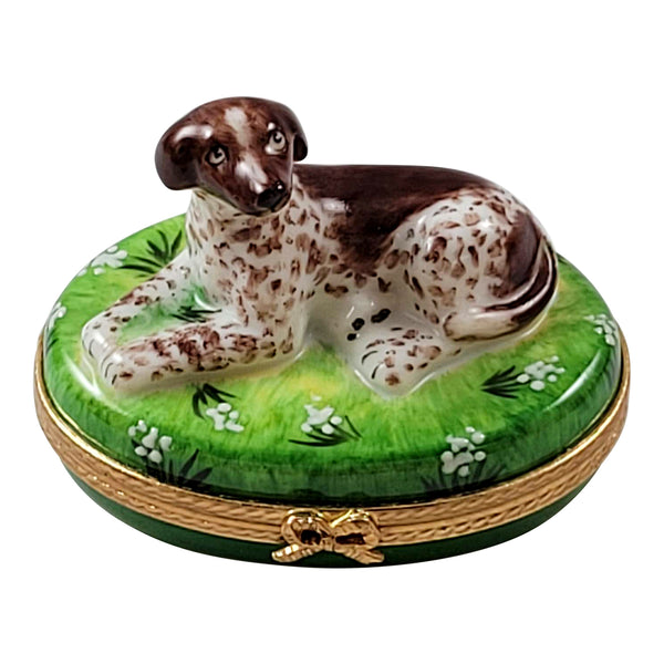 Load image into Gallery viewer, Rochard "German Shorthaired Pointer Dog" Limoges Box
