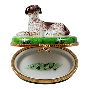 Rochard "German Shorthaired Pointer Dog" Limoges Box