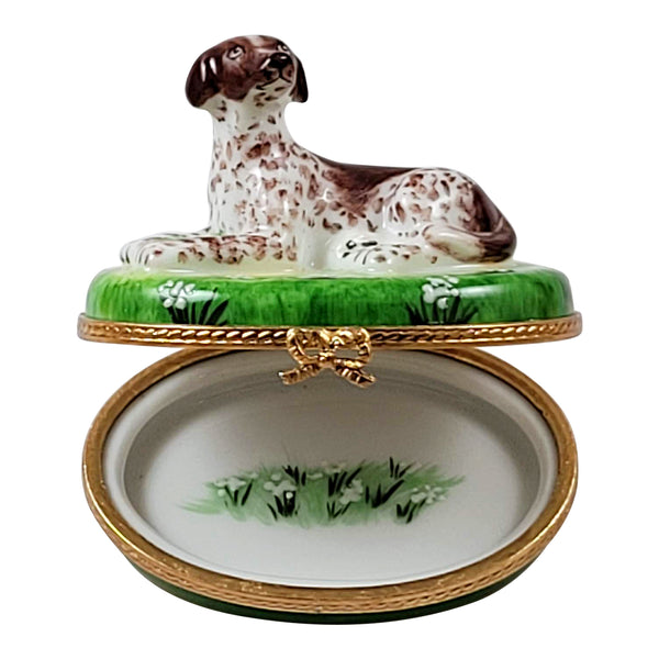 Load image into Gallery viewer, Rochard "German Shorthaired Pointer Dog" Limoges Box
