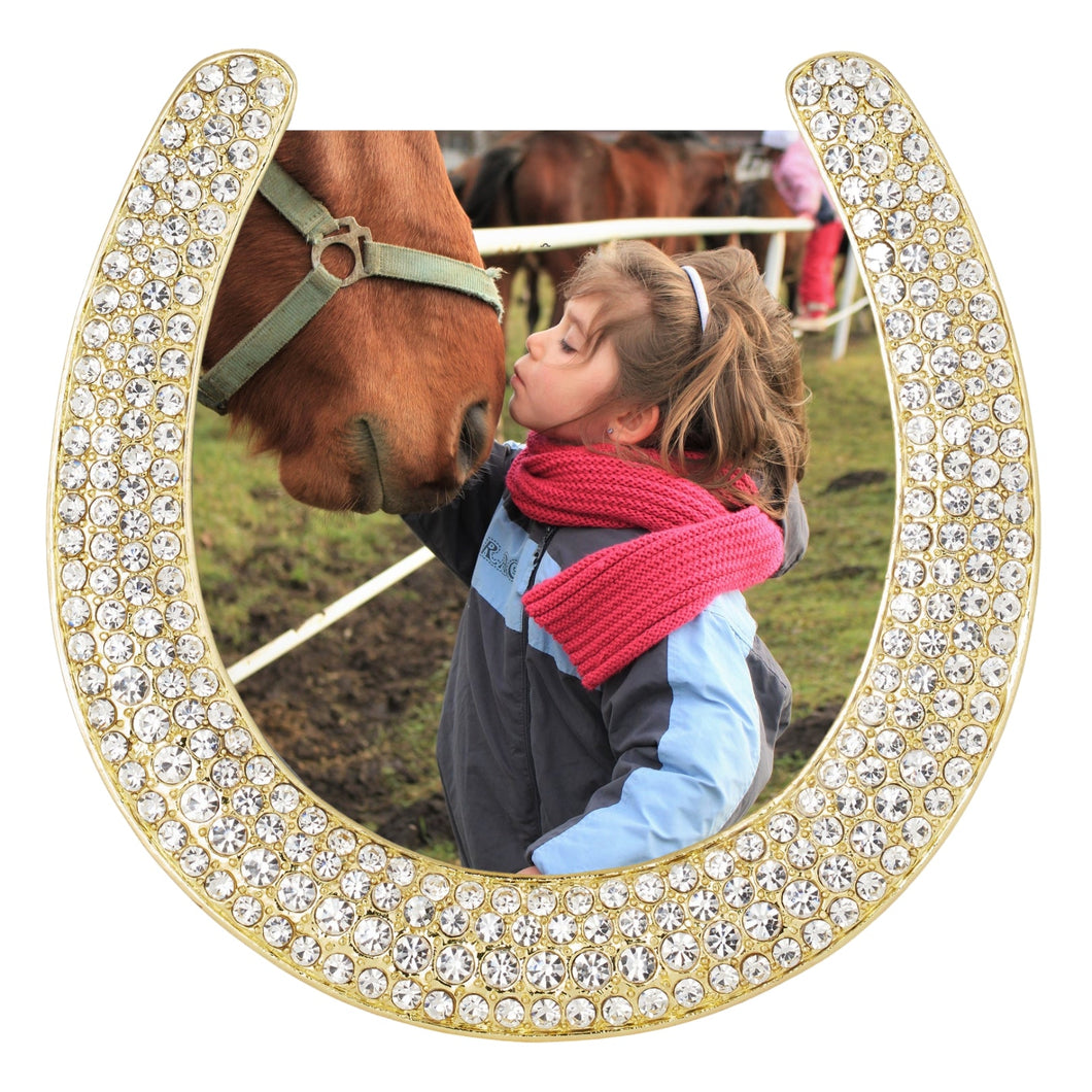 Olivia Riegel Gold Horseshoe 3.5