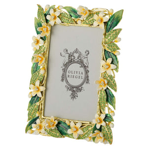 Olivia Riegel Hannah 4" x 6" Frame