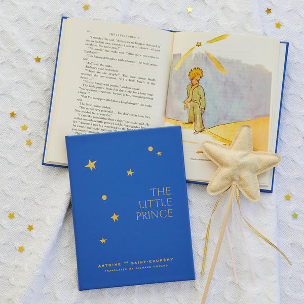 Load image into Gallery viewer, Graphic Image The Little Prince - Leather Book
