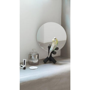 Lladro Parrot Vanity Vanity Mirror
