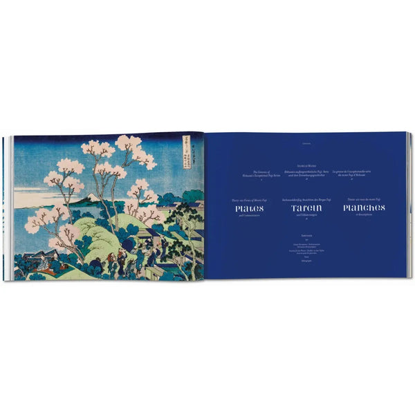 Load image into Gallery viewer, Hokusai. Thirty-six Views of Mount Fuji - Taschen Books
