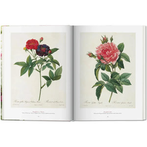 Redouté. The Book of Flowers - Taschen Books
