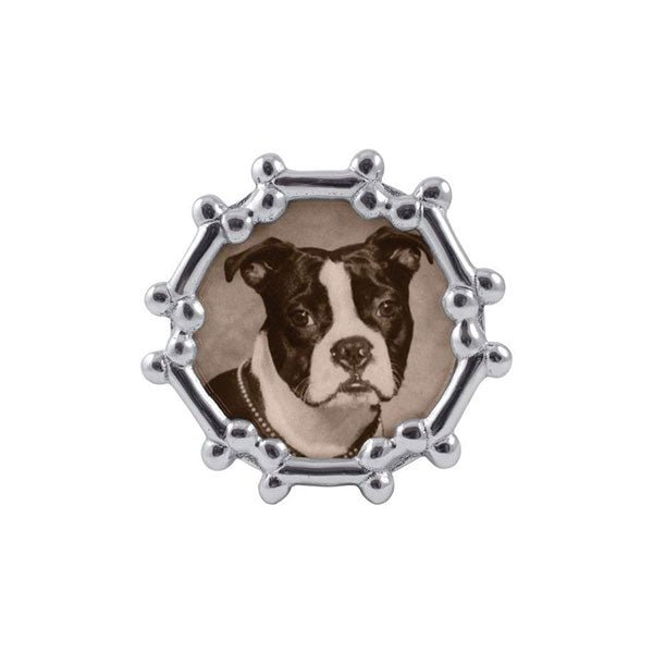 Load image into Gallery viewer, Mariposa Dog Bone Round Frame
