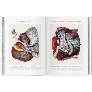 Bourgery. Atlas of Human Anatomy and Surgery - Taschen Books