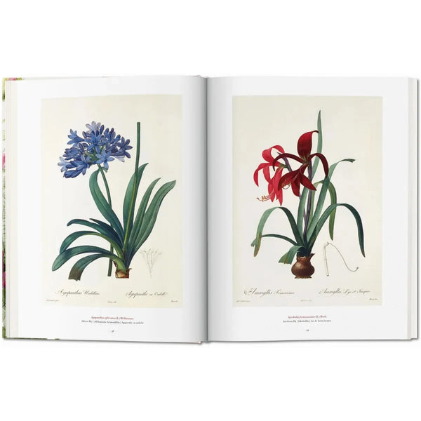 Load image into Gallery viewer, Redouté. The Book of Flowers - Taschen Books
