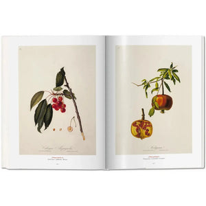 A Garden Eden. Masterpieces of Botanical Illustration - Taschen Books